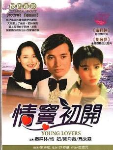 情窦初开1978海报