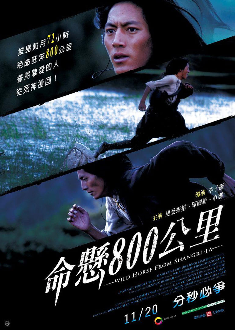 命悬800公里海报