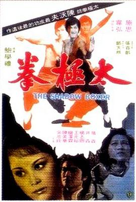 太极拳1974海报